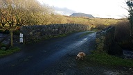 View of bog with Muckish in background